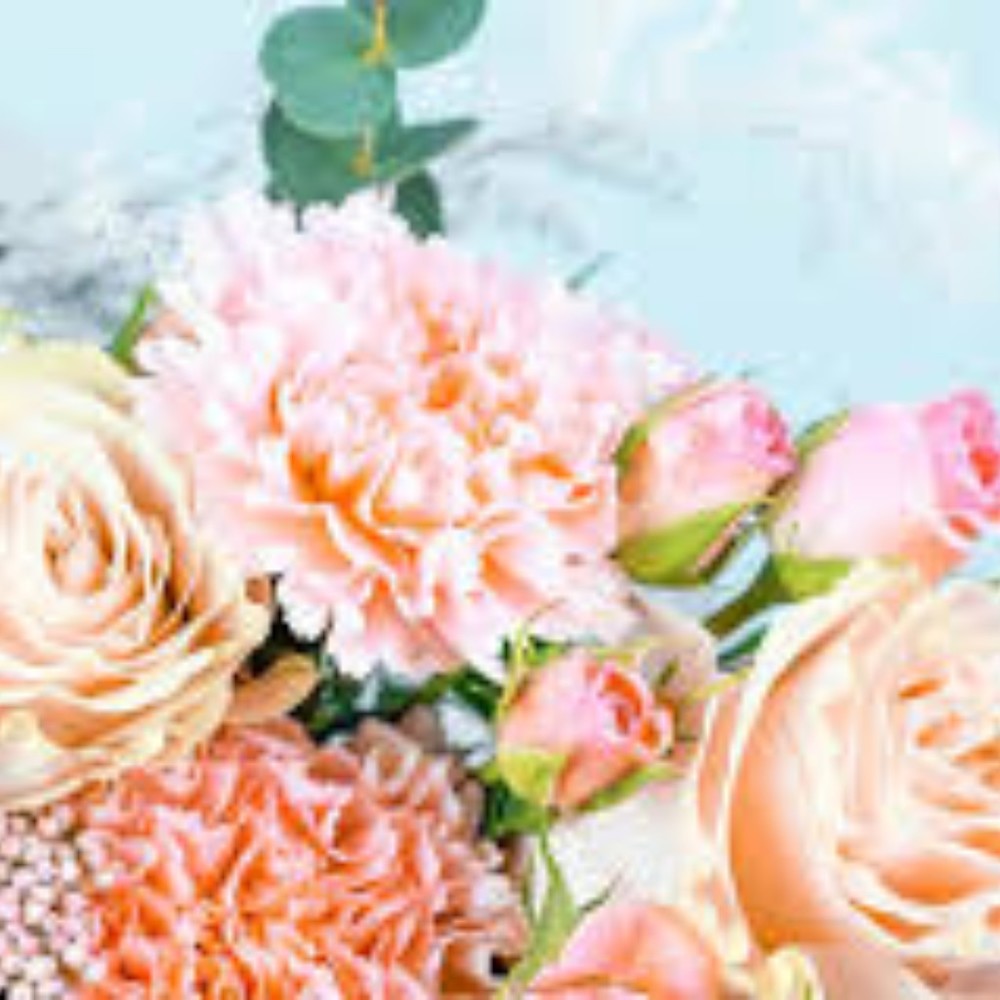 Meet your Posher, Franny